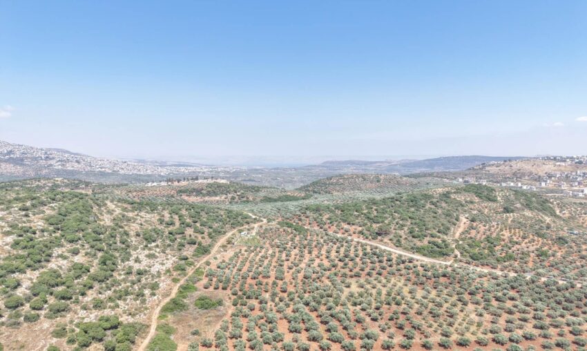 Hatsios Development-Akrita30